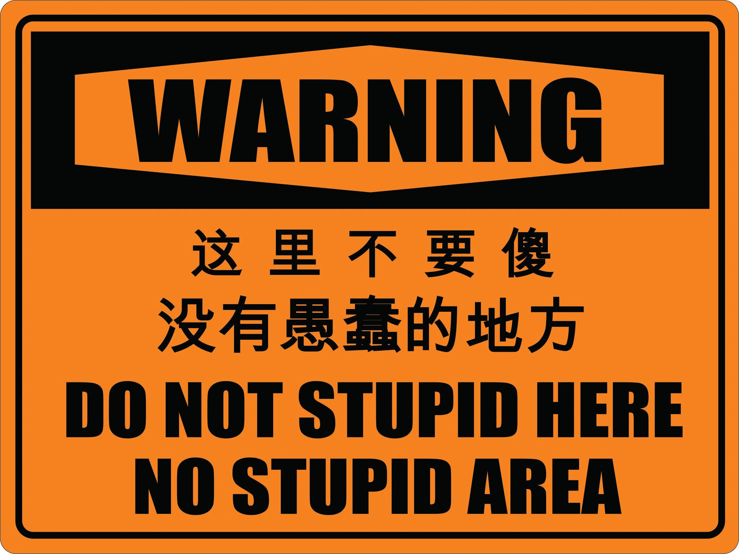 Warning Do Not Stupid Here Sign Funny Chinese translation by Flood City Fabrications