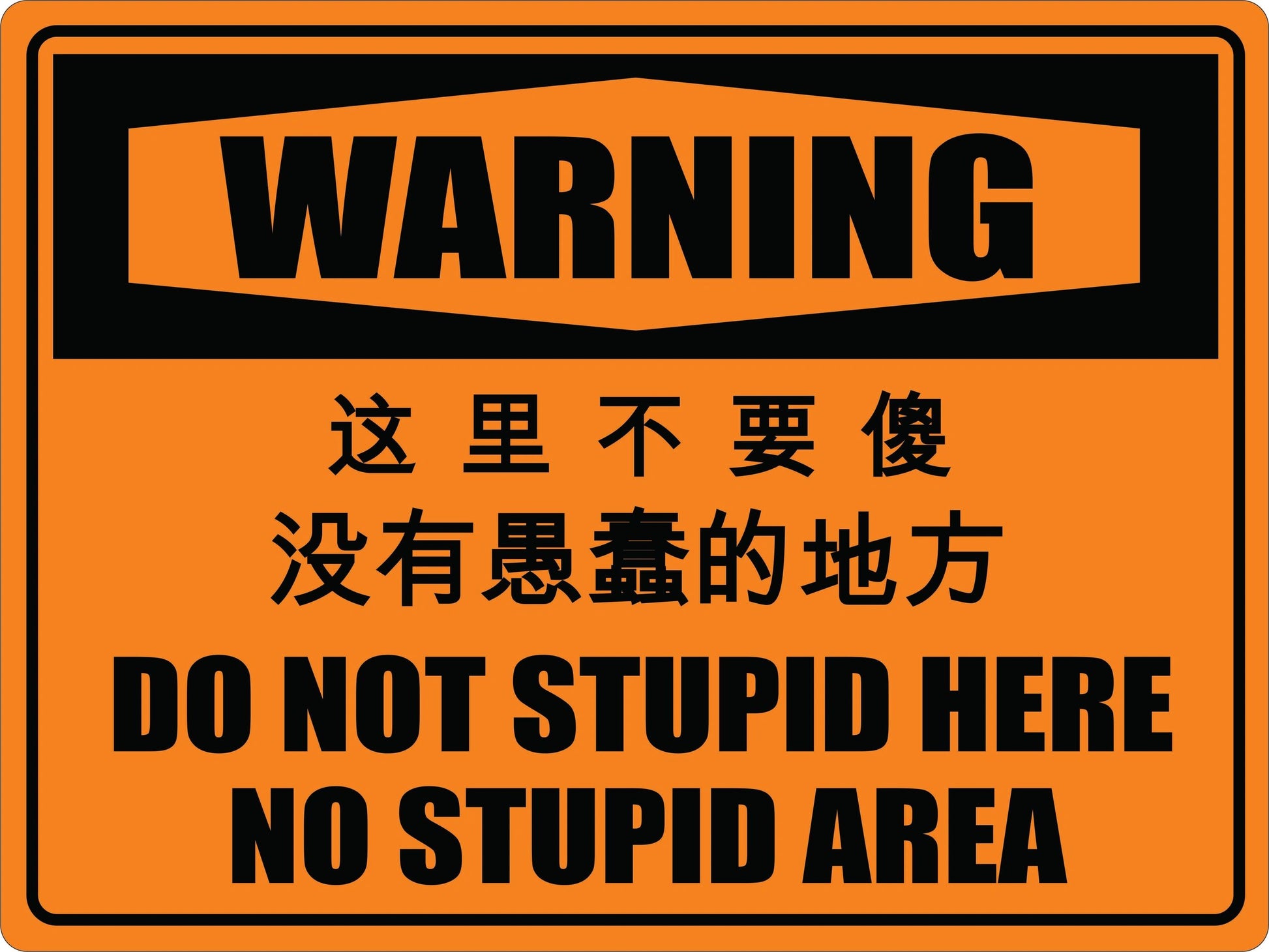 Warning Do Not Stupid Here Sign Funny Chinese translation by Flood City Fabrications